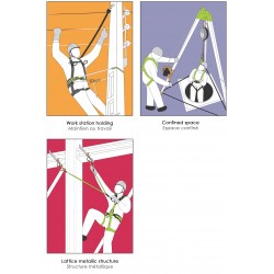 Body harness 2 attachment points with belt