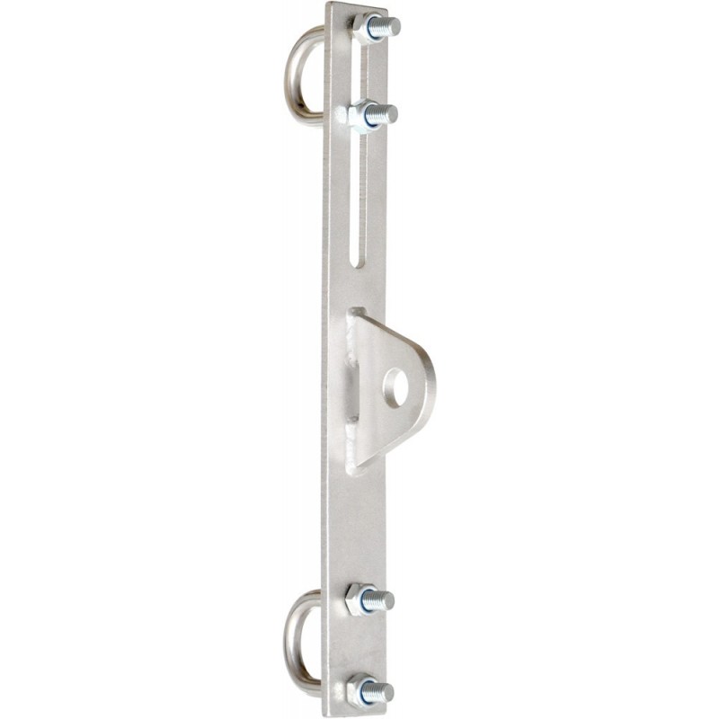 Plaque d'extrémité pour deux barreaux d'échelle