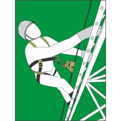 Plaque d'extrémité pour deux barreaux d'échelle