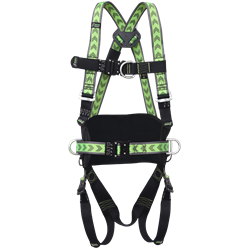 Harnais antichute 2 points d'accrochage, ceinture et boucles automatiques