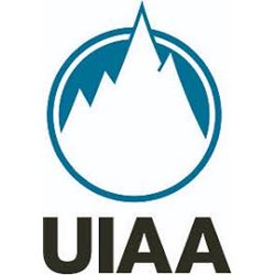 Aluminium Gerüsthaken mit Automatikverschluss grün