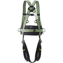 Harnais antichute 2 points d'accrochage et ceinture