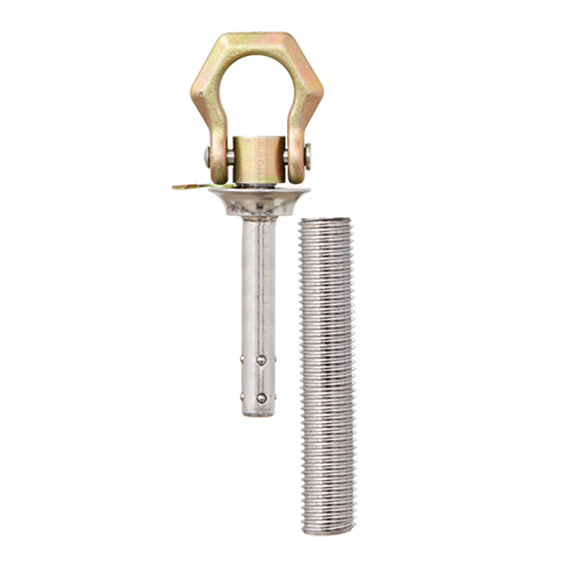 Detachable anchorage with chemical fixing Detachable anchorage with chemical fixing