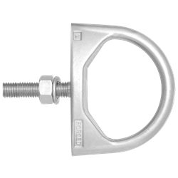 Vertical Anchorage D-Bolt