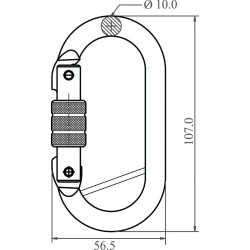 Steel Screw-locking Karabiner with captive pin