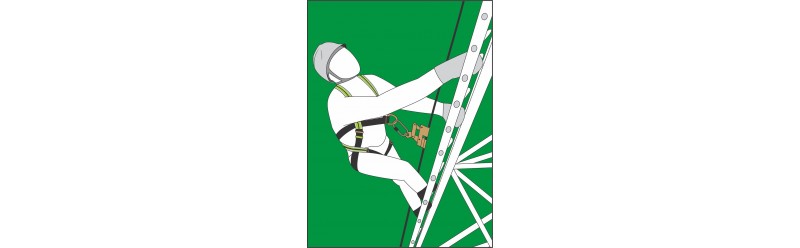 Escalera fija